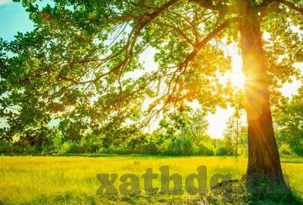 av永久天堂一区二区三区-探索AV内容平台的多元化与界限，永久天堂一区、二区、三区的独特视角