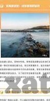 大象传媒在线观看网站-探索大象传媒，在线观看的多元文化体验