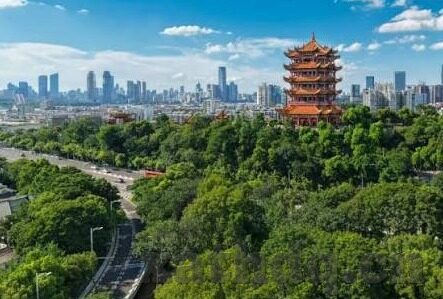 国产成人麻豆免费视频-对网络文化的影响，国产成人麻豆视频的无声探讨