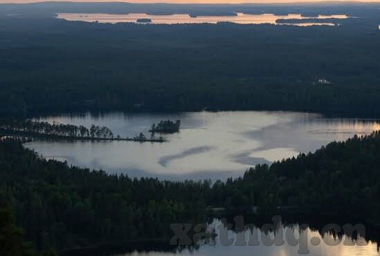 麻豆传媒app免费视频-麻豆传媒app，免费视频的多元化体验