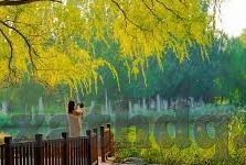 糖心vlog福利-喜好分享的人总会期待能够在日常中寻觅到那份小确幸的源泉，而糖心Vlog福利无疑在这个快节奏的生活里，为许多朋友们带来了一抹温馨的色彩